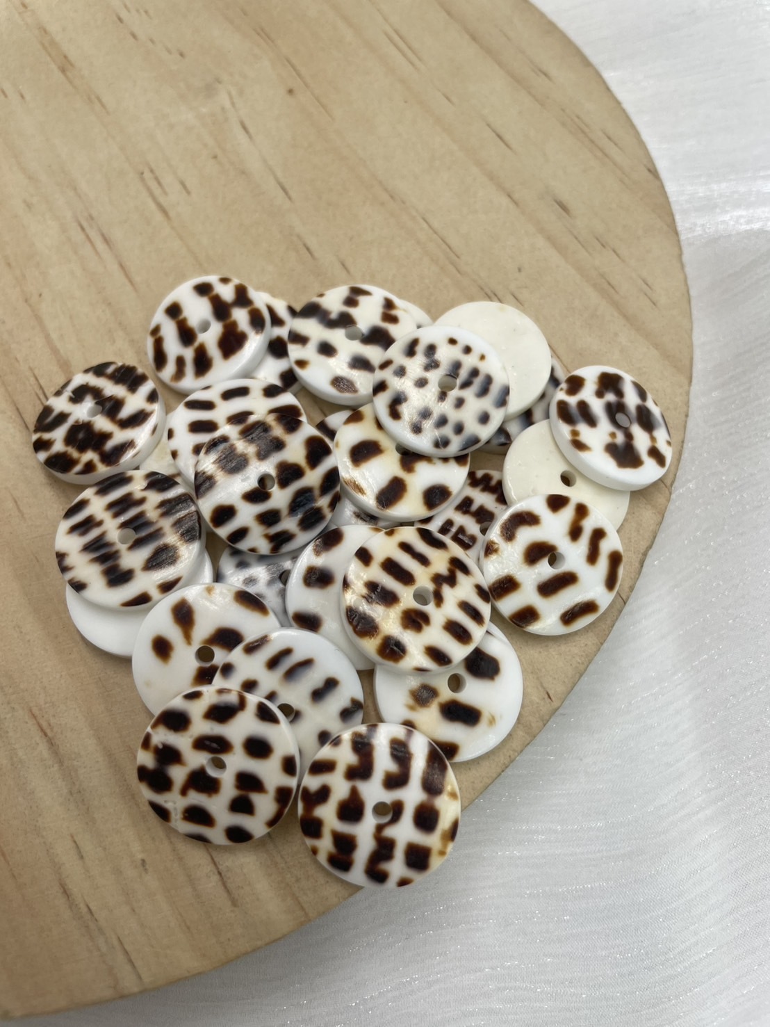 單孔-圓貝殼隔片（片）直徑約2cm