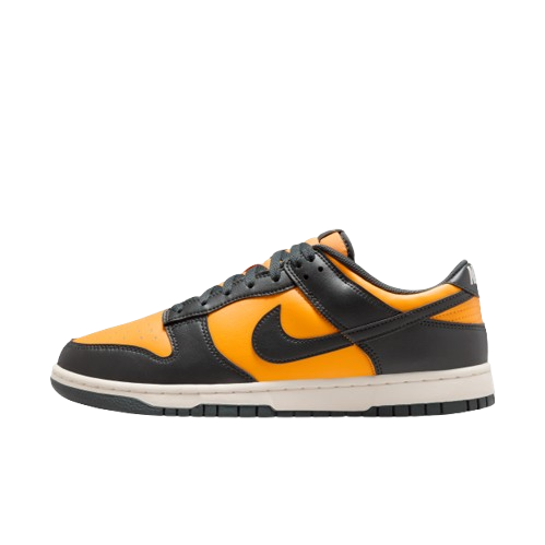 Nike Dunk Low Retro 黑黃 男鞋 HF5441-700