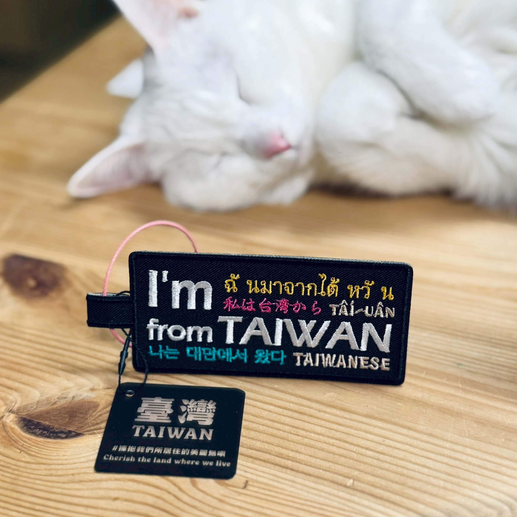 《I'm from TAIWAN》吊牌