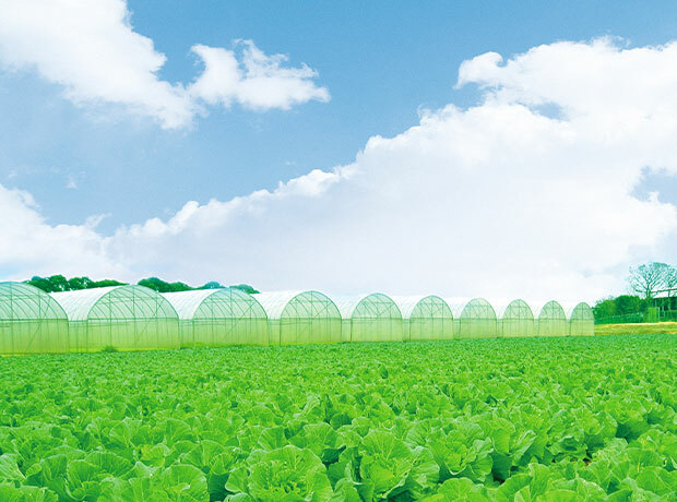 台塑楊梅農場溫室