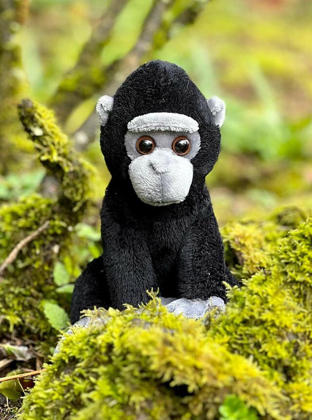 Charlie Bears Cuddle Cubs ​Gorilla 大金剛