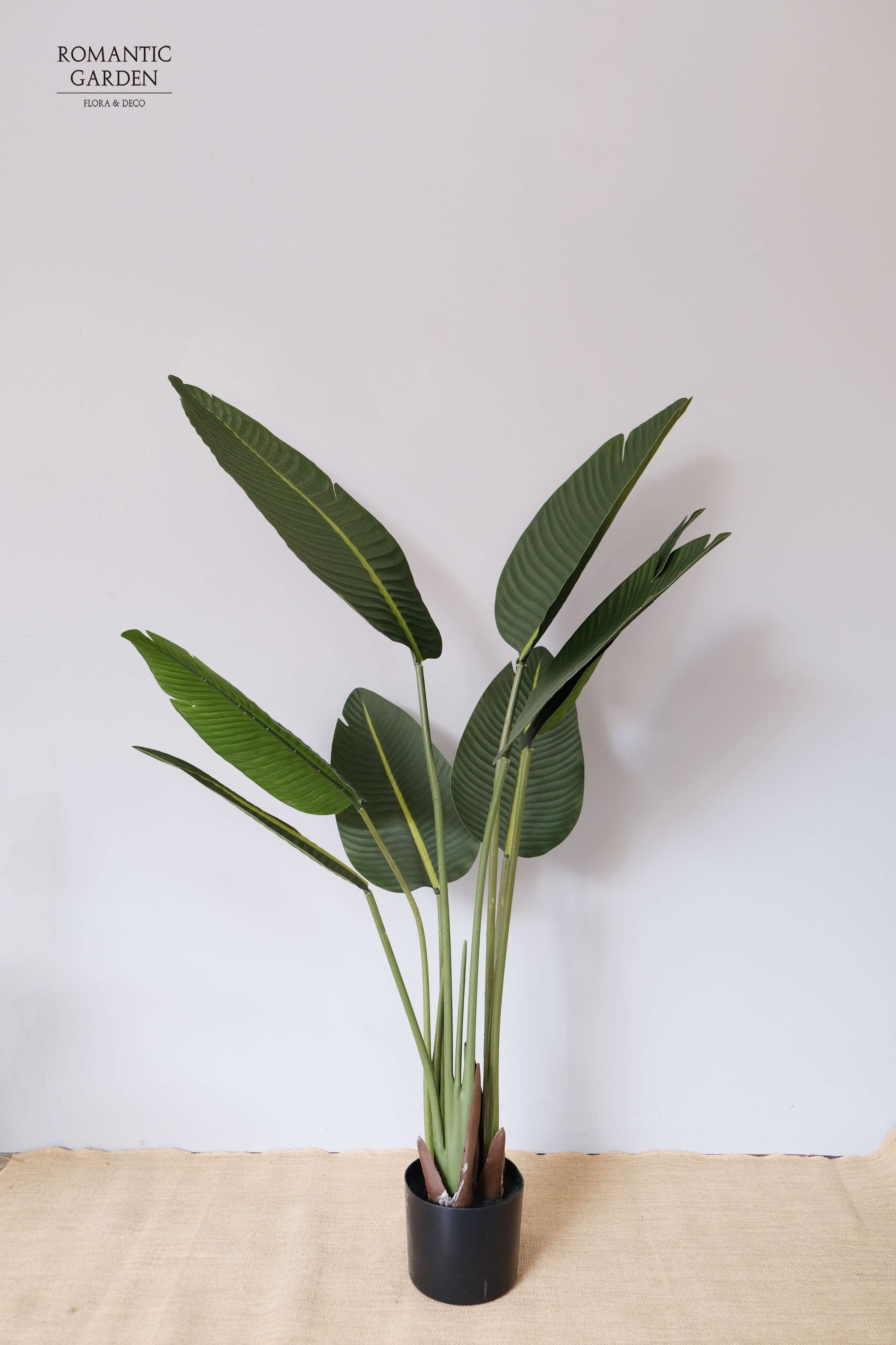 original.jpg?1745228849