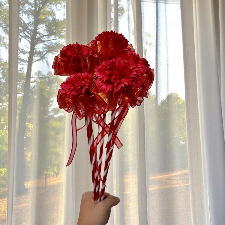 單支康乃馨花束,單枝康乃馨花束,Single carnation bouquet