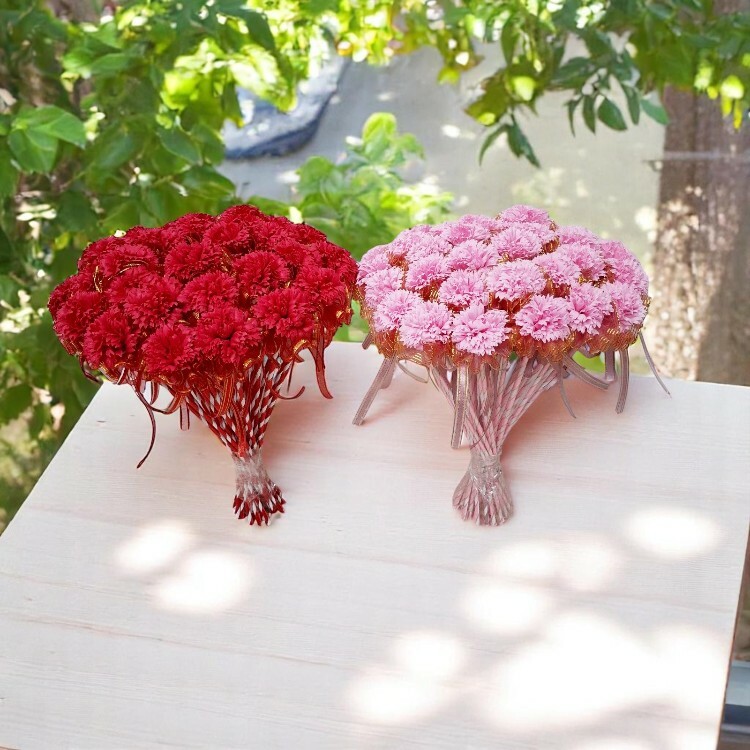 單支康乃馨花束,單枝康乃馨花束,Single carnation bouquet