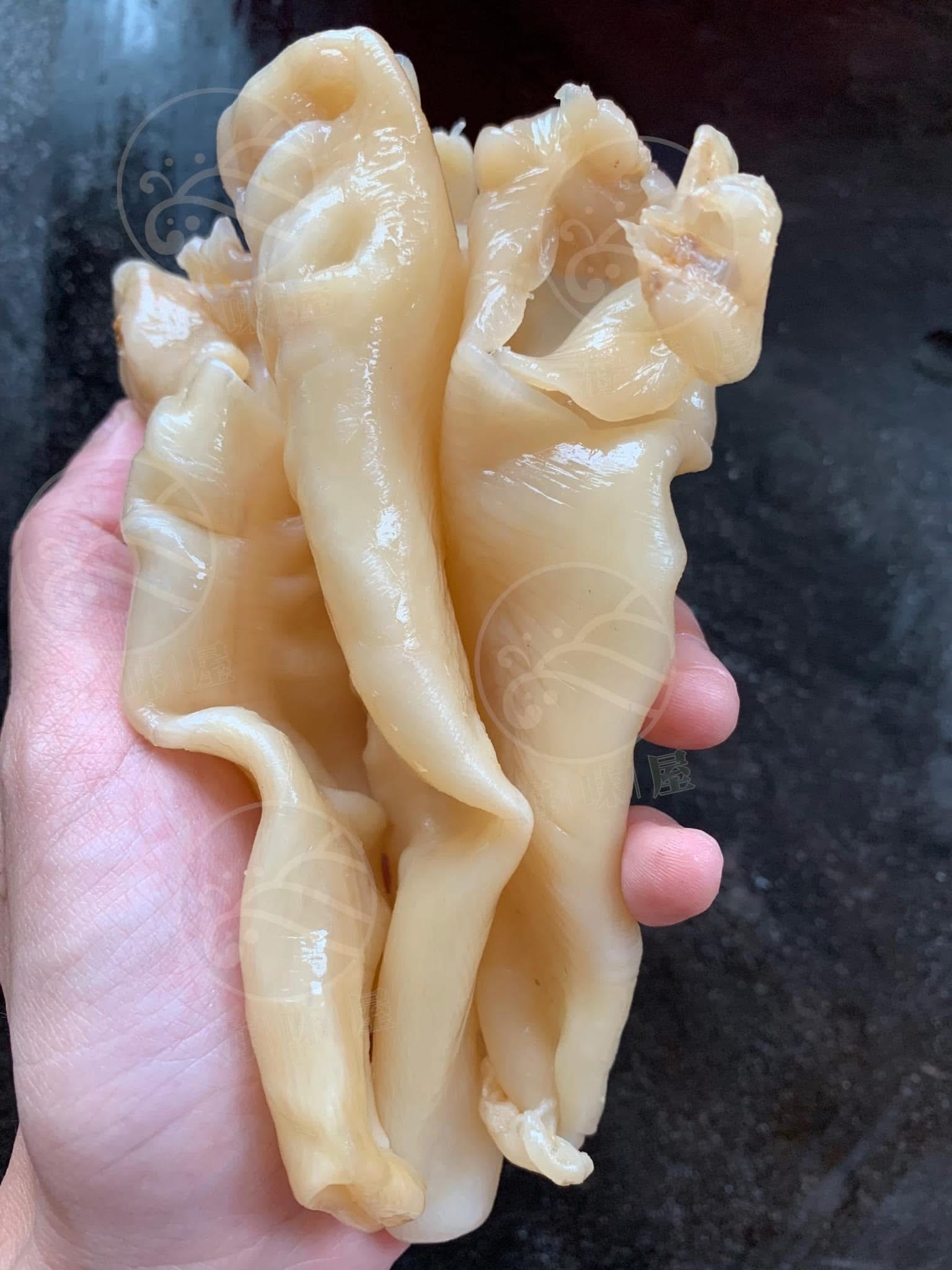 H18369 一級非洲鴨包花膠肚筒 75g （約2x 隻）