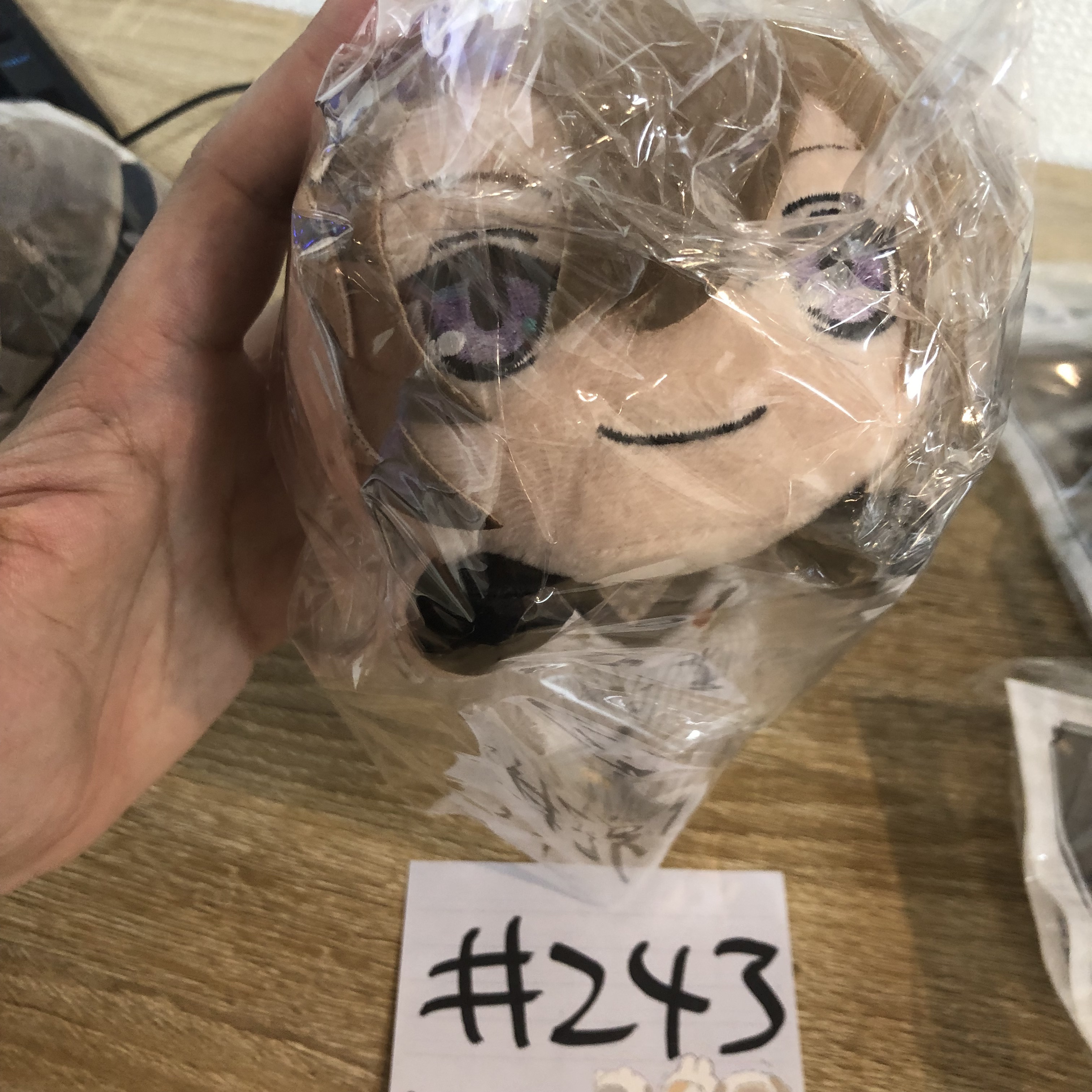 彩虹社 LUCA 公仔#243