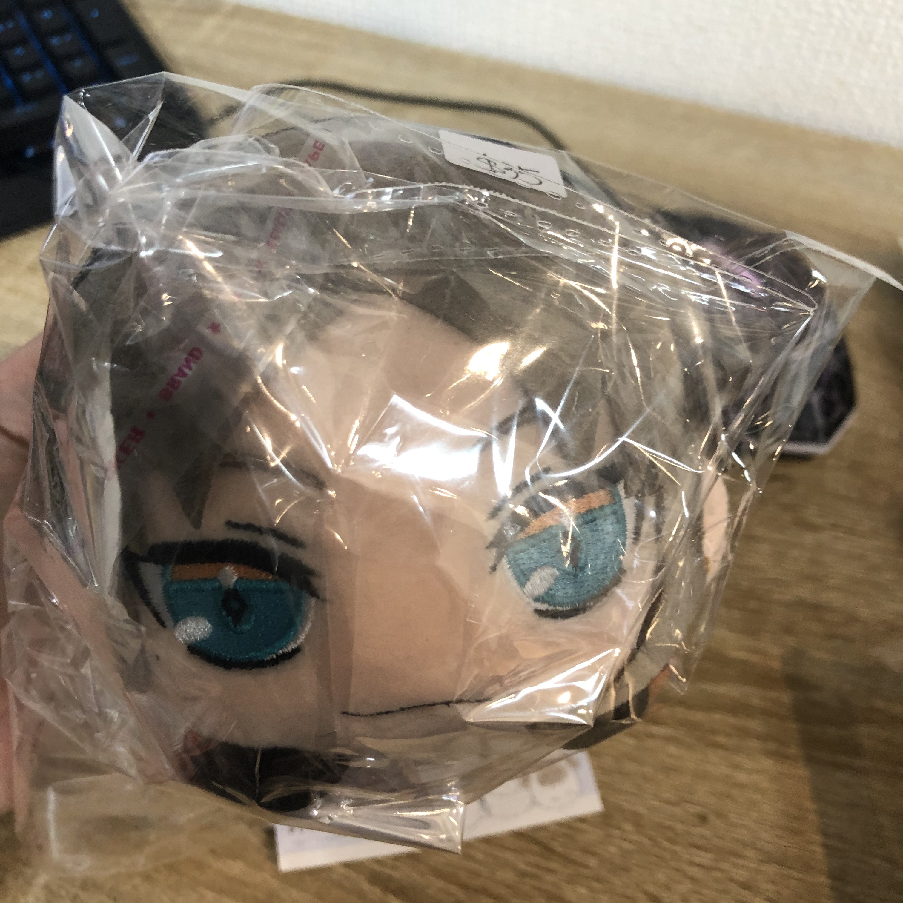 彩虹社 MYSTA 公仔#243