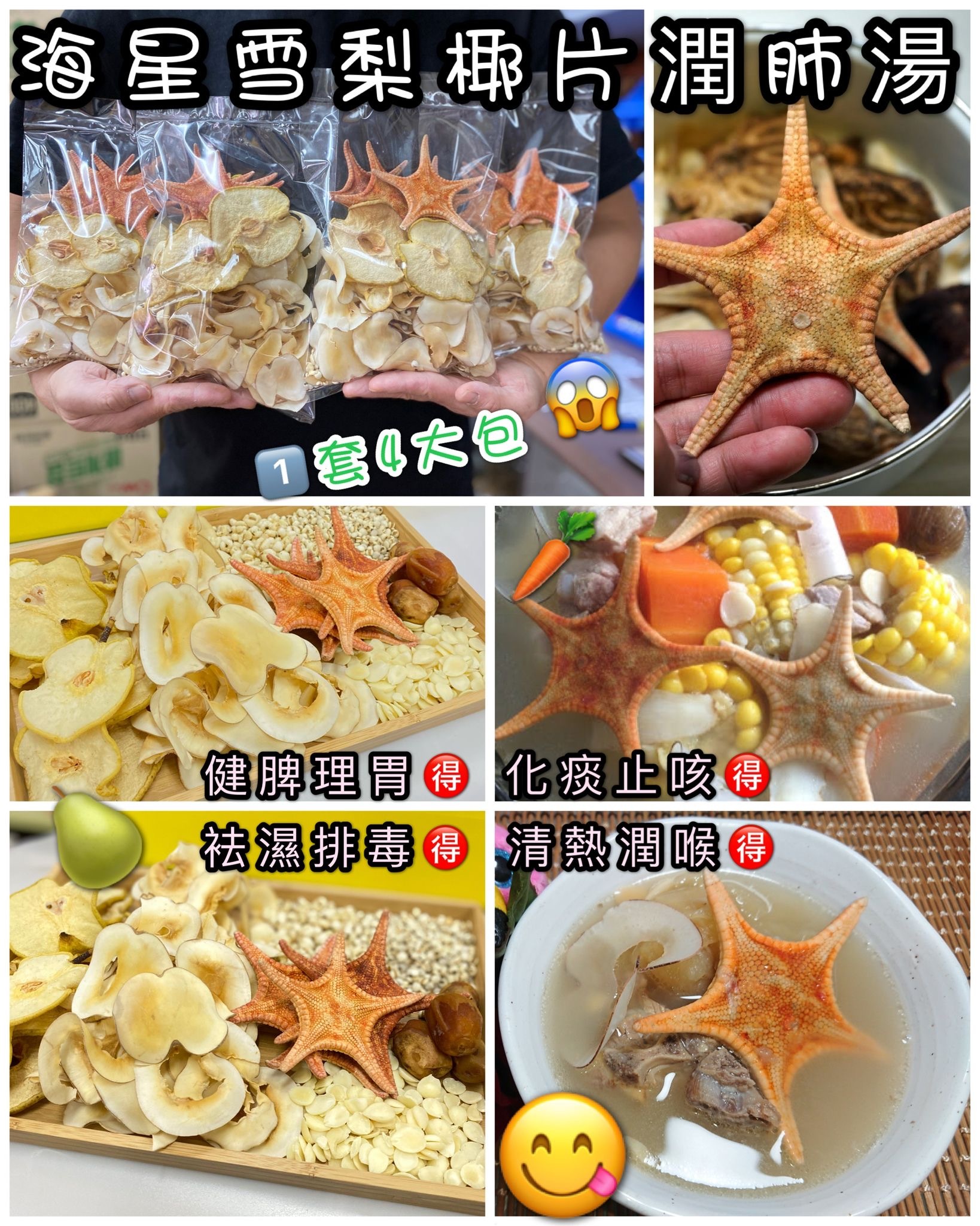海星雪梨椰片潤肺湯包（一套四包家庭裝）