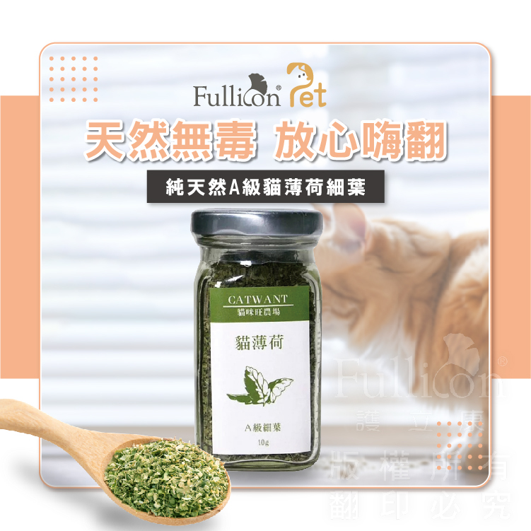 【貓咪旺農場】A級 貓薄荷