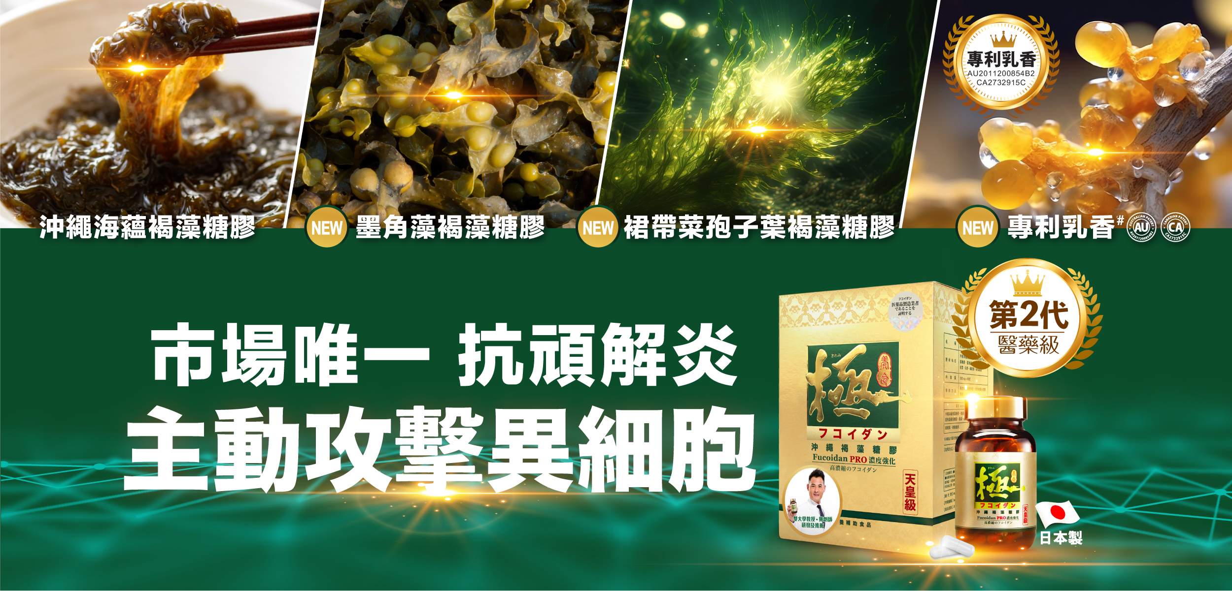 沖繩海蘊褐藻糖膠、墨角藻褐藻糖膠、裙帶菜孢子葉褐藻糖膠和專利乳香，能提升免疫系統