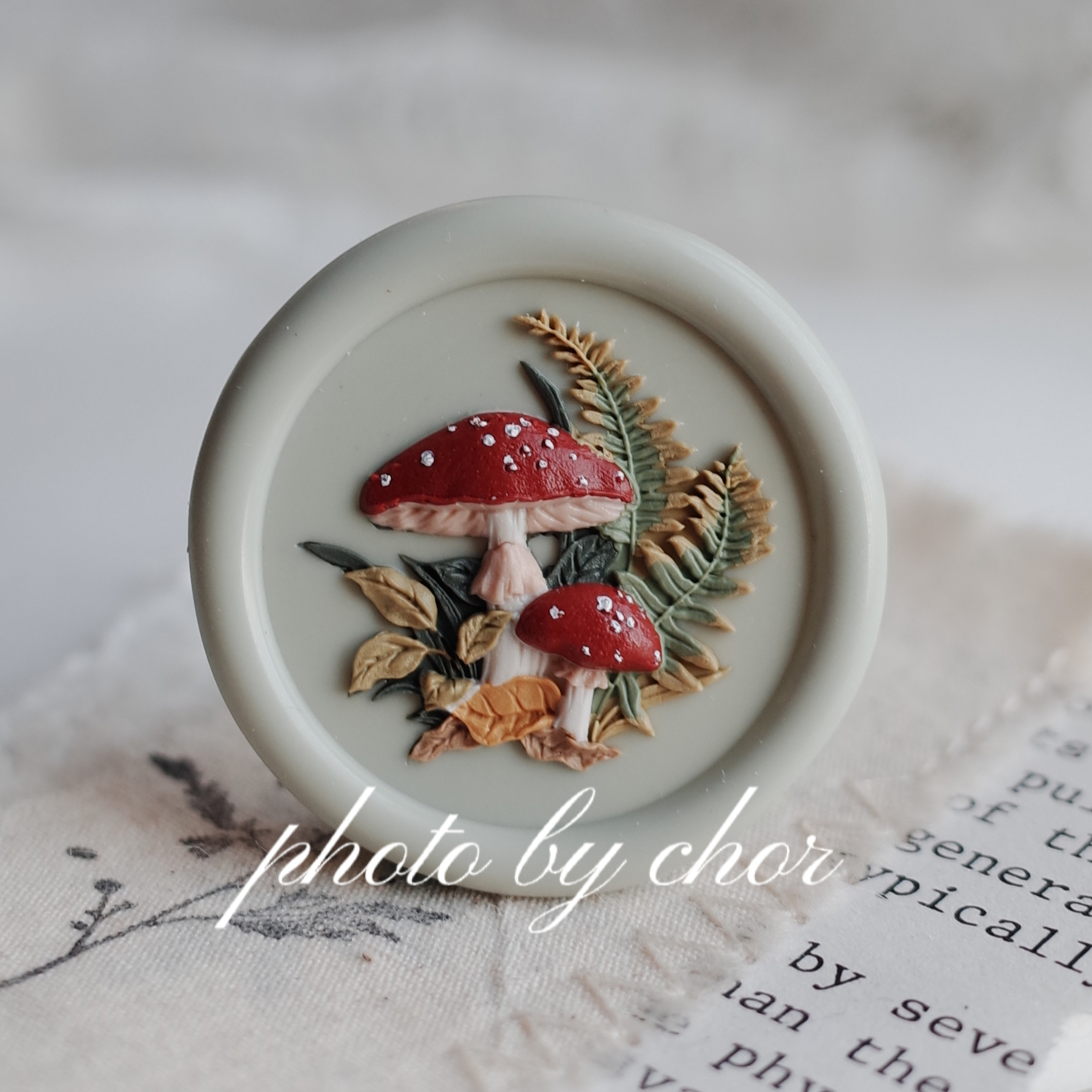 毒蠅傘：可愛的外觀下其實有毒#shorts #自然- YouTube, image size:1803x1803