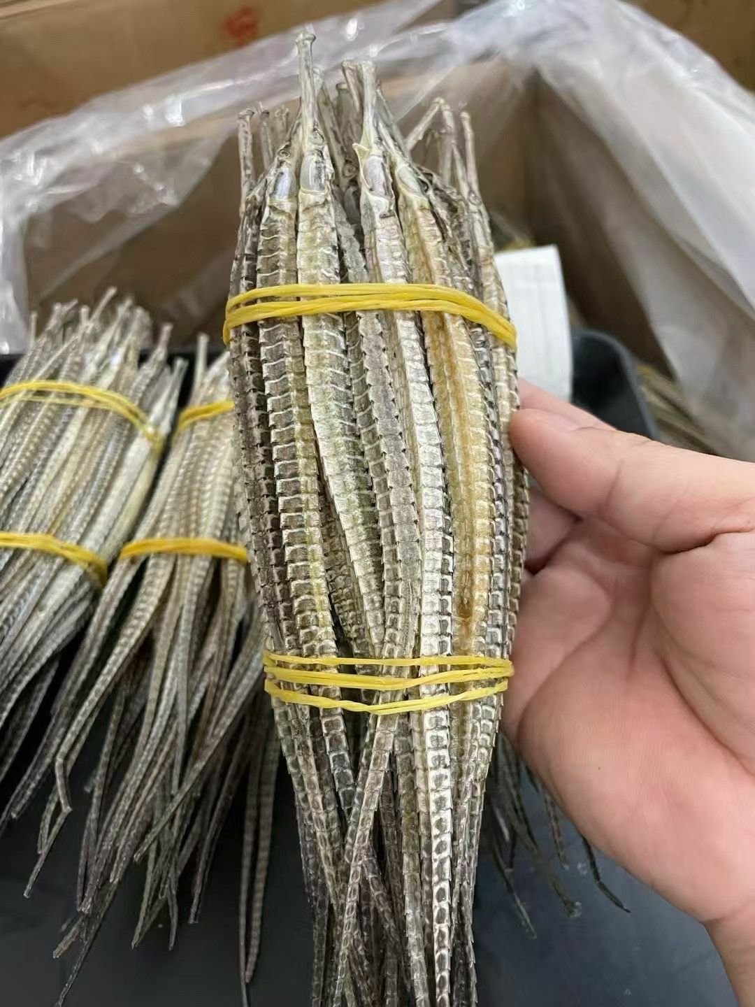 (2718)海龍75g (24-35支)