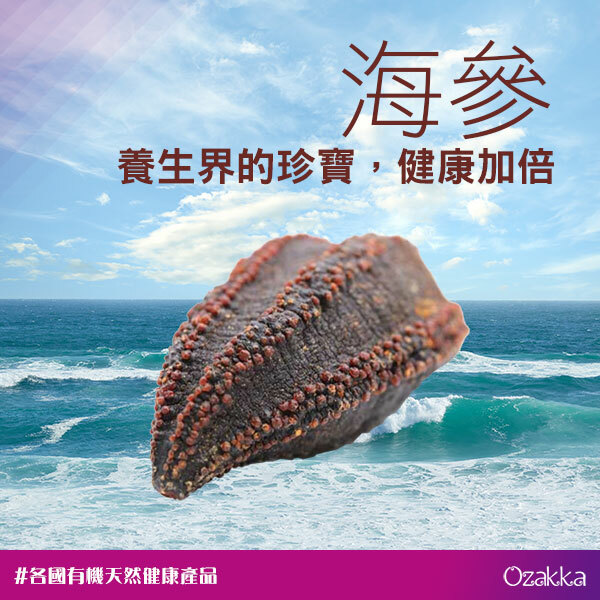 海參：養生界的珍寶，健康加倍