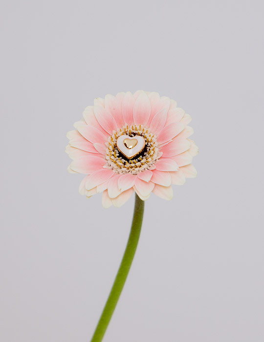 浪漫雙層愛心滴釉。針式耳環(珠光白)