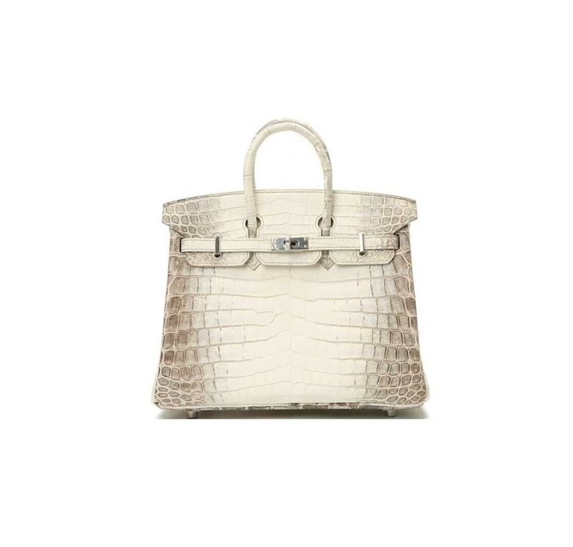 Birkin 25 Himalaya ck matt nile crocodile W