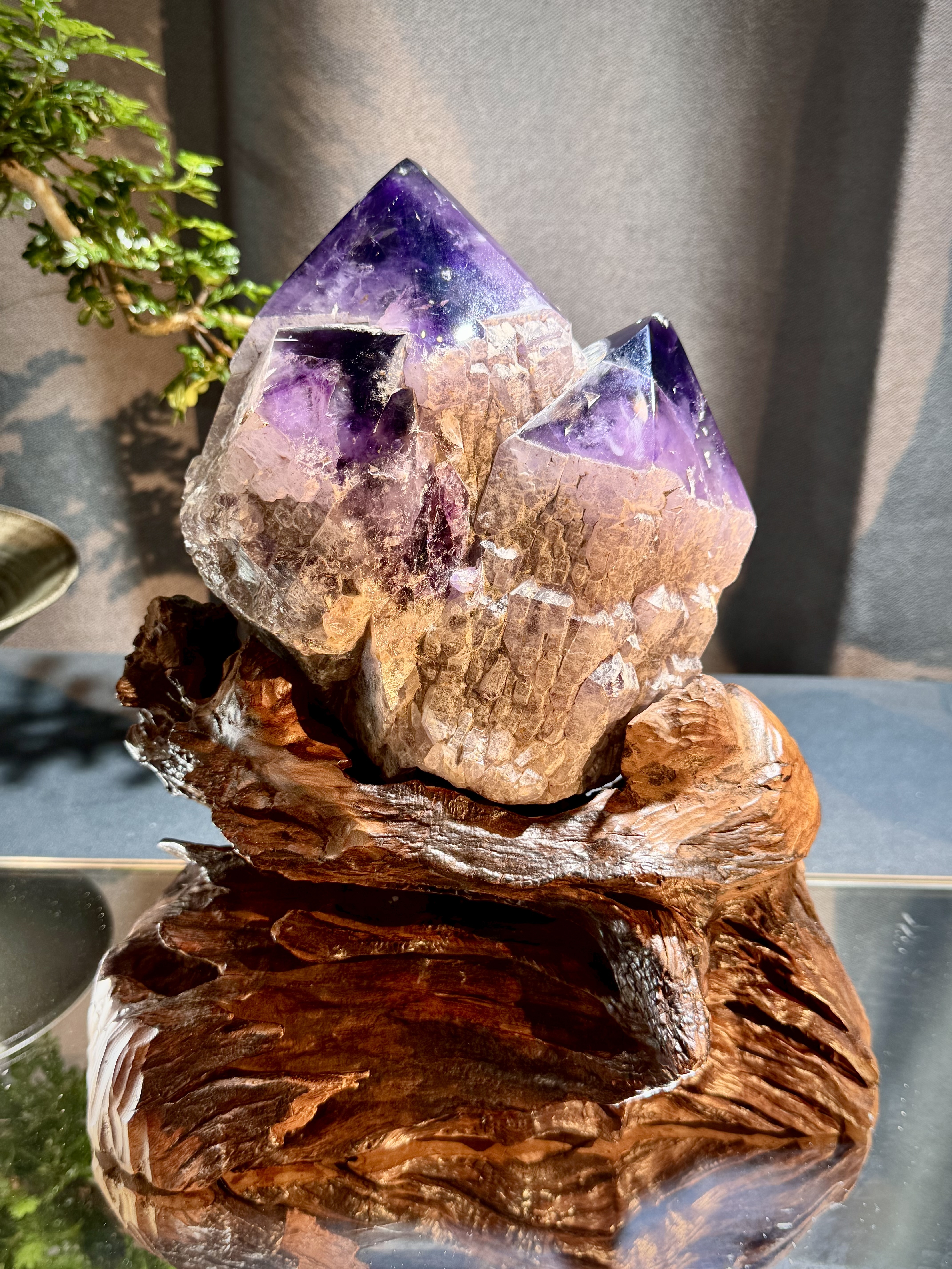 紫水晶城堡骨幹原石 8701