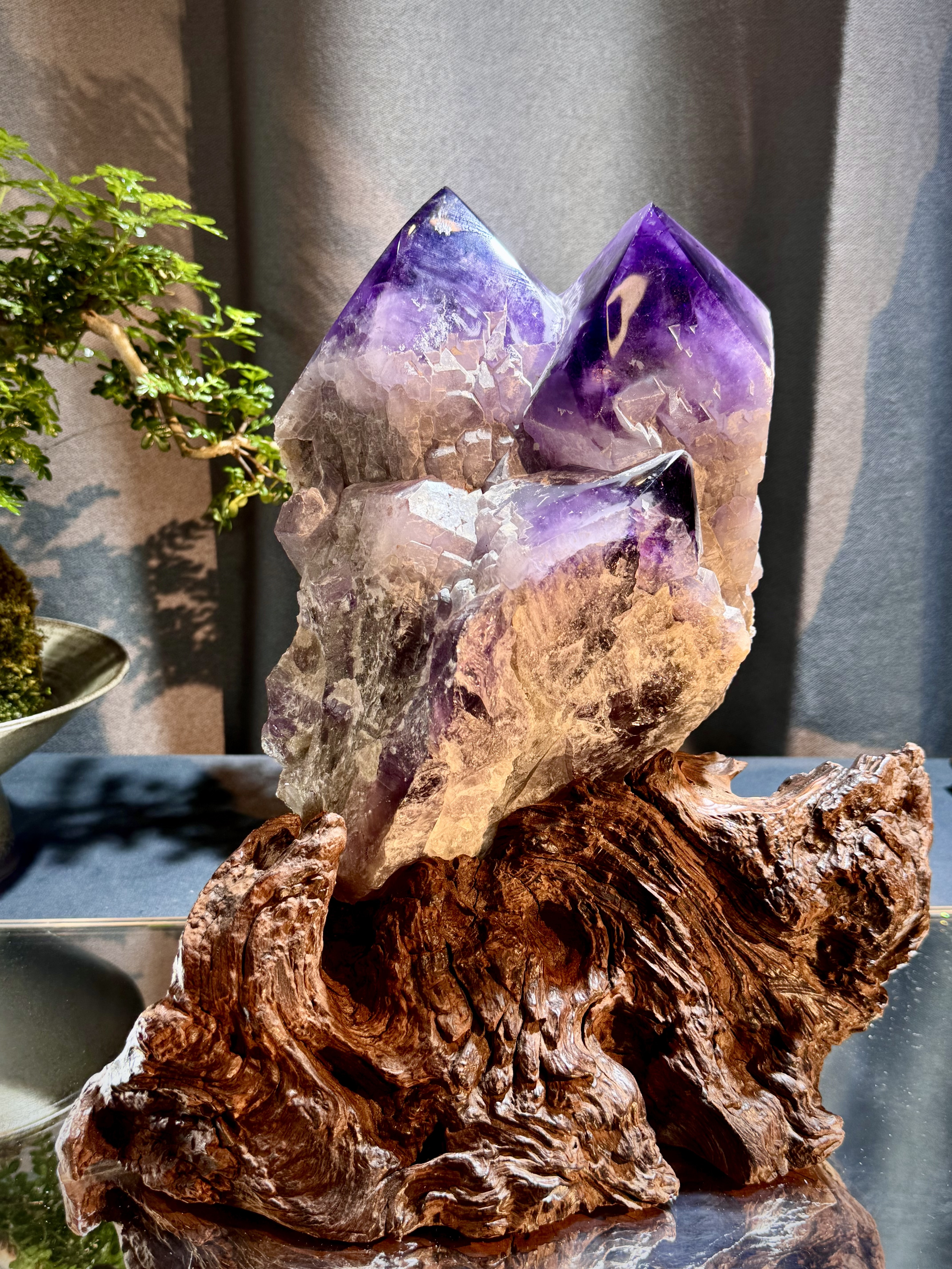 紫水晶城堡骨幹原石 8702