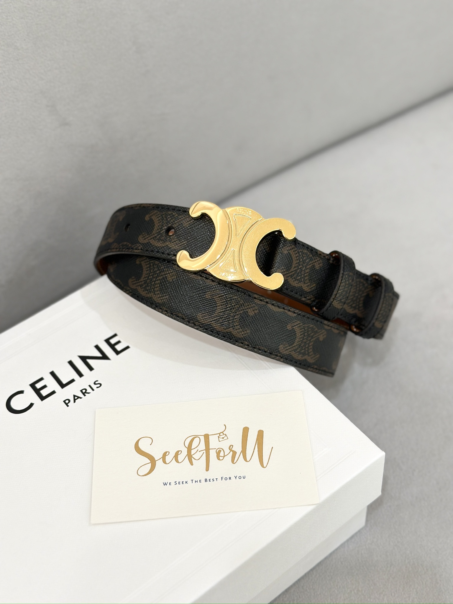 CELINE Medium Triomphe Belt