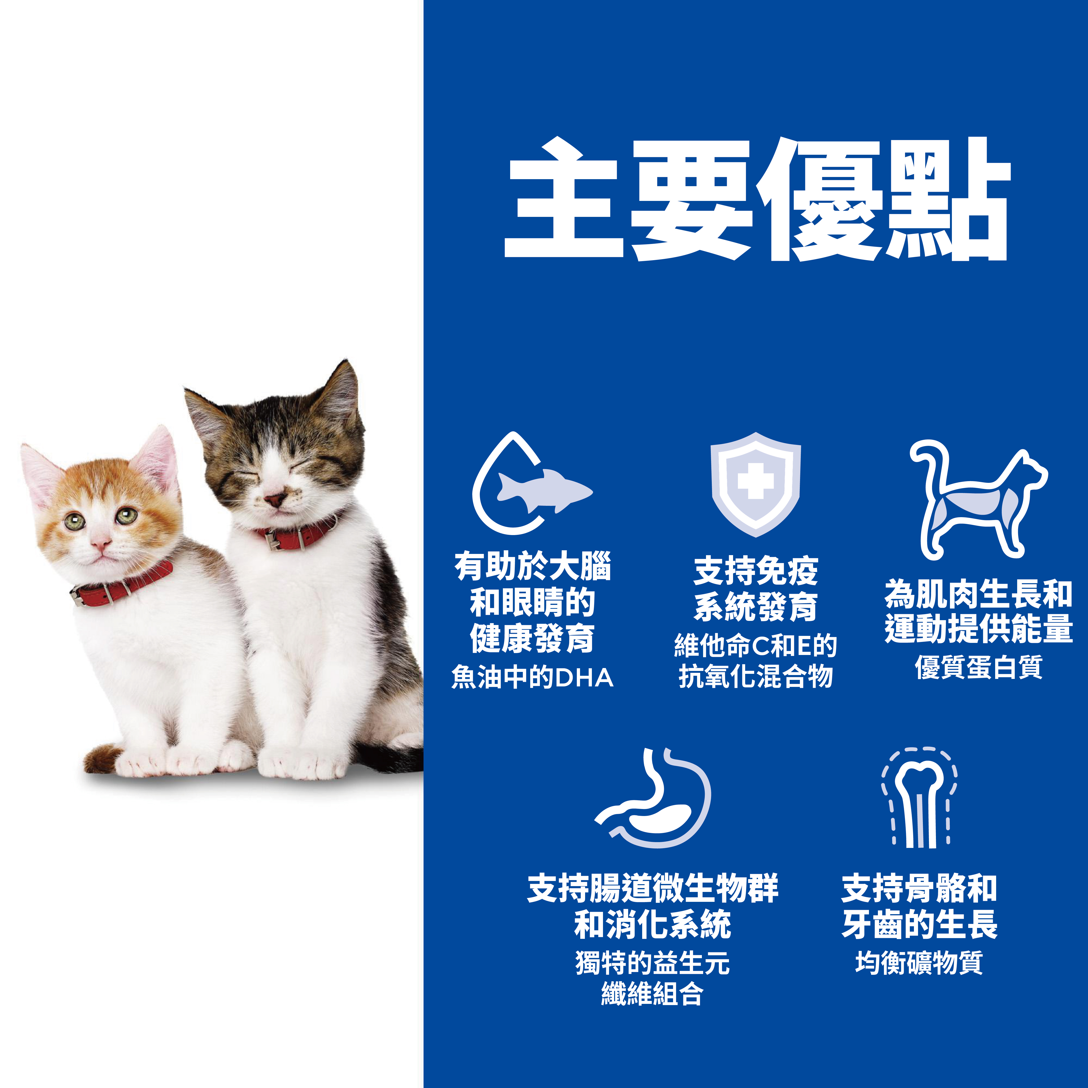 Hill's Science Diet With Salmon Canned Food For Kitten 2.9oz #10806