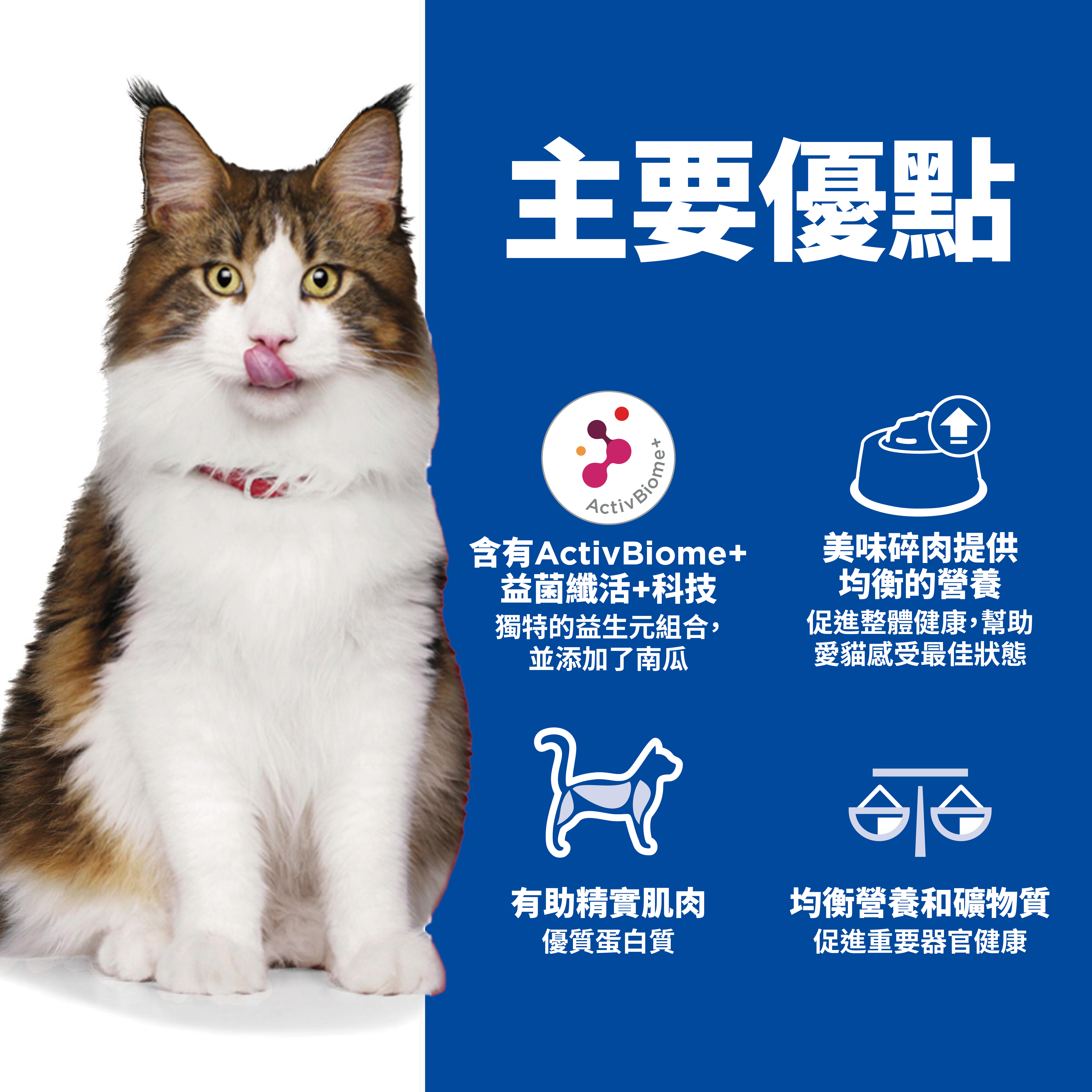 Hill's 希爾思 成貓完美消化．燉雞肉蔬菜及米2.9oz #605837