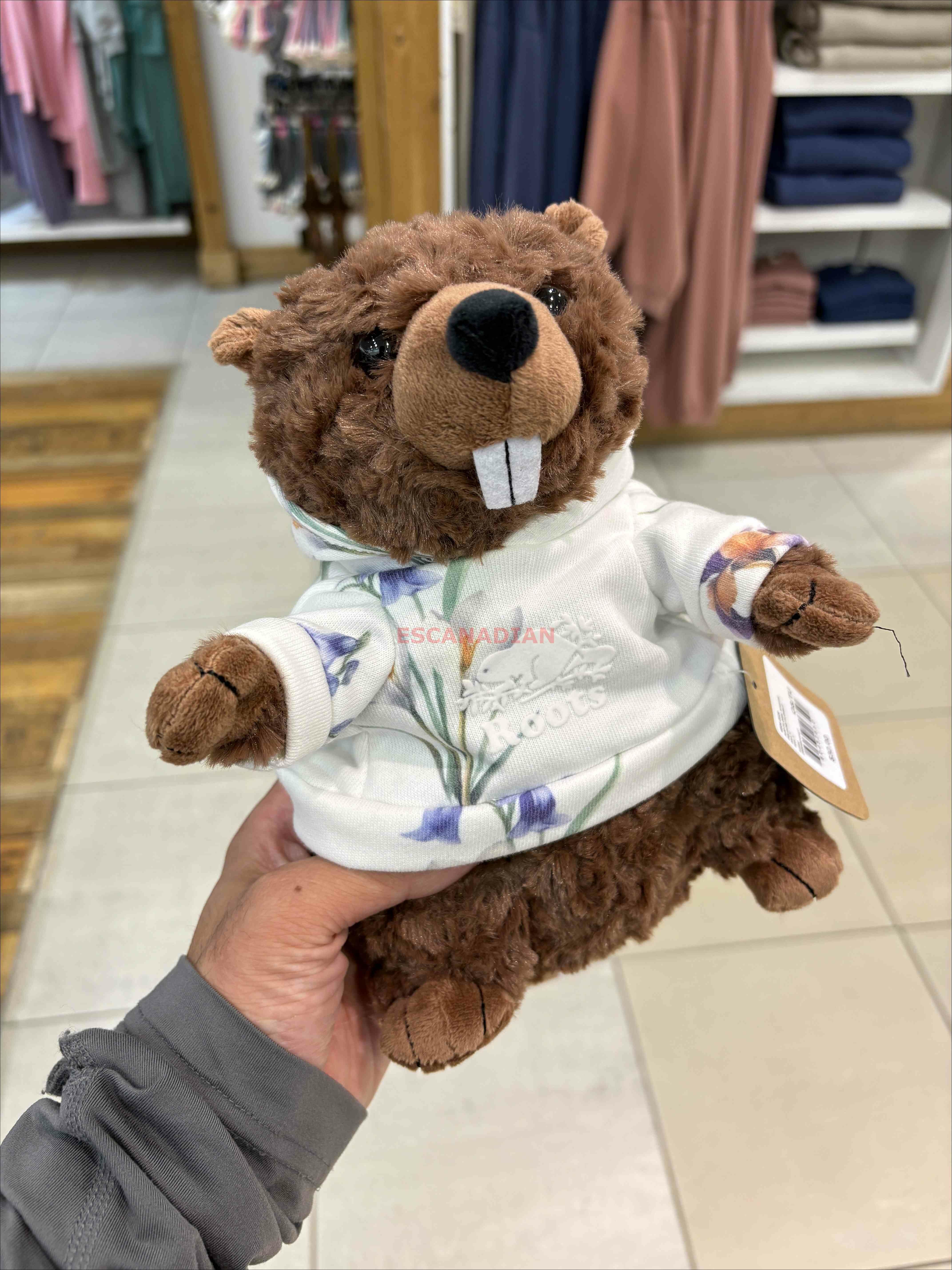 ROOTS 花卉系列 海狸寶寶