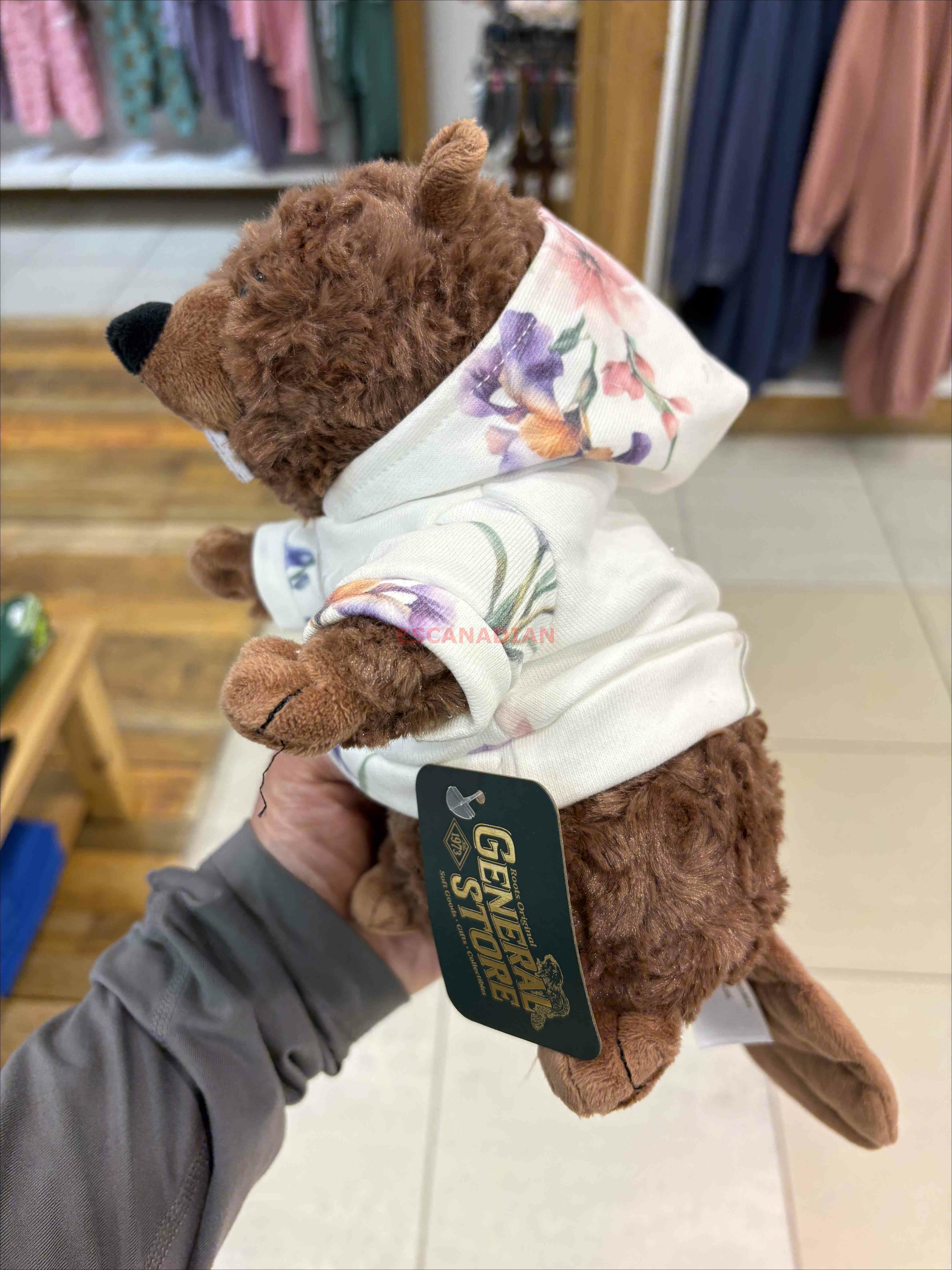 ROOTS 花卉系列 海狸寶寶