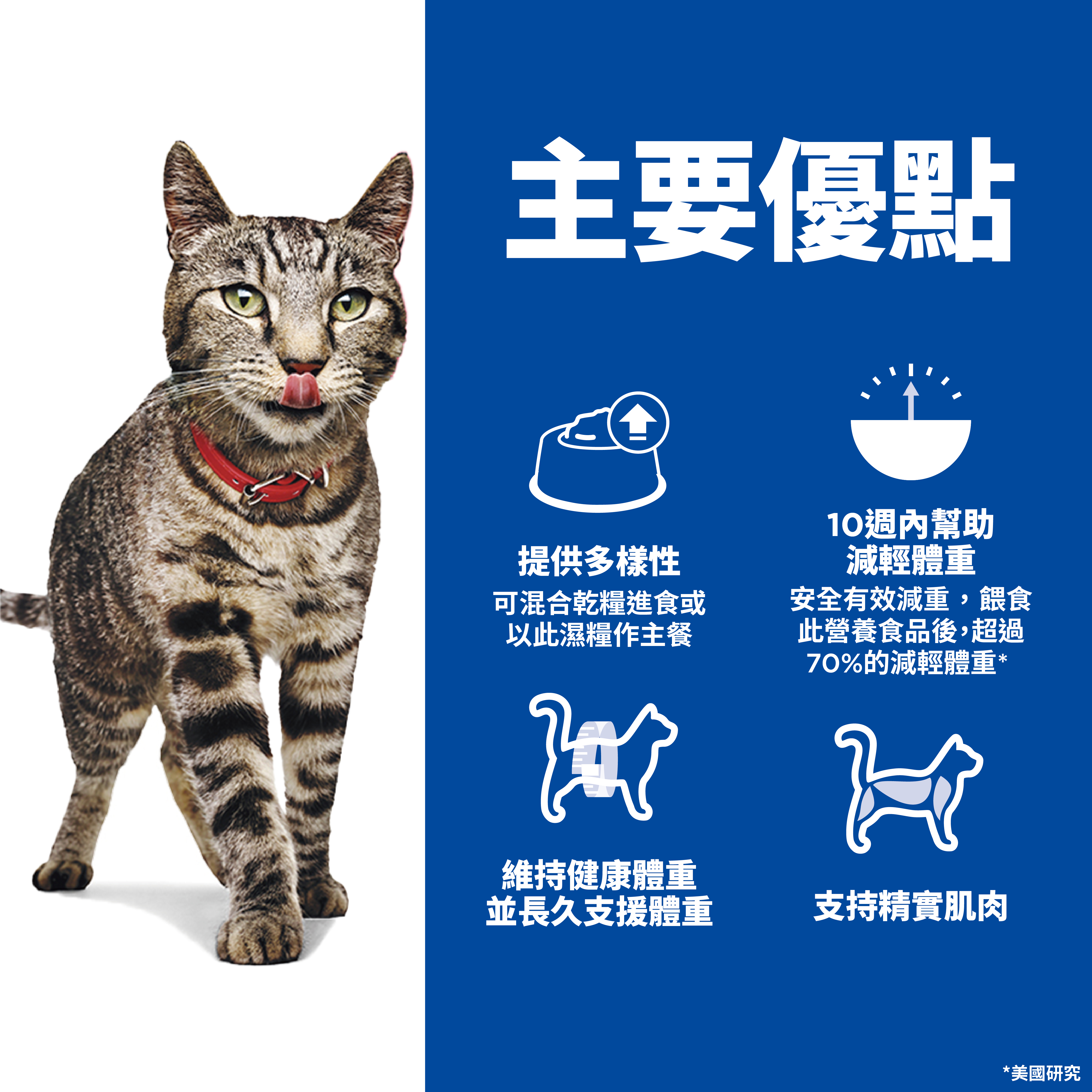 Hill's Specialty Perfect Weight Adult Vegetables & Salmon Medley Canned Food 2.9oz #608491