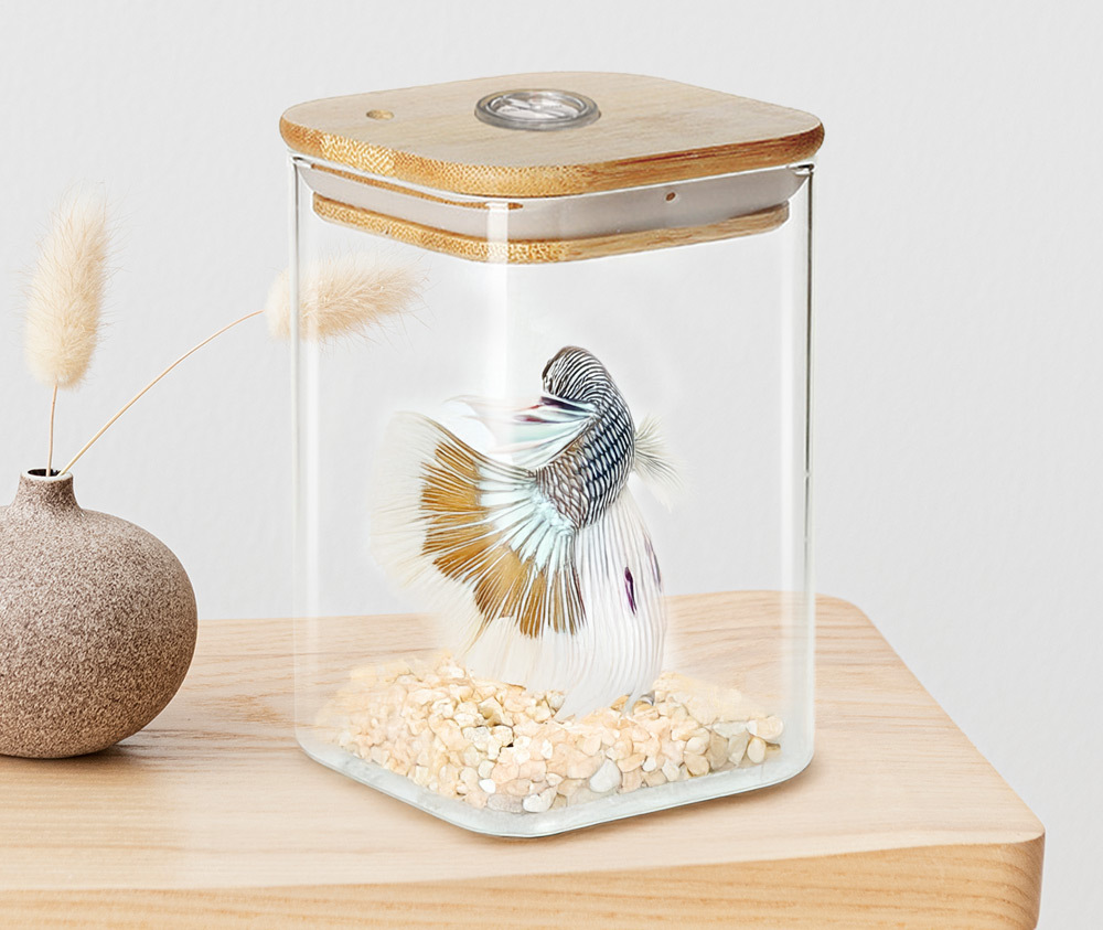 造型簡約美觀，適合擺放於書桌、辦公室或客廳，為空間增添自然氣息