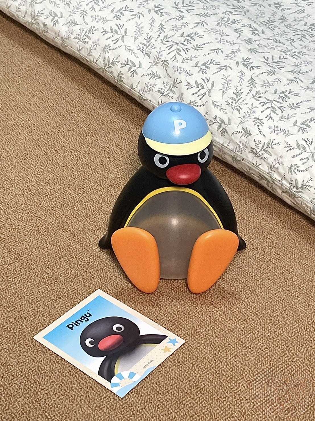 KTQ STORE ‧ Pingu  企鵝家族 夏日水杯 水壺 側背 實用小物