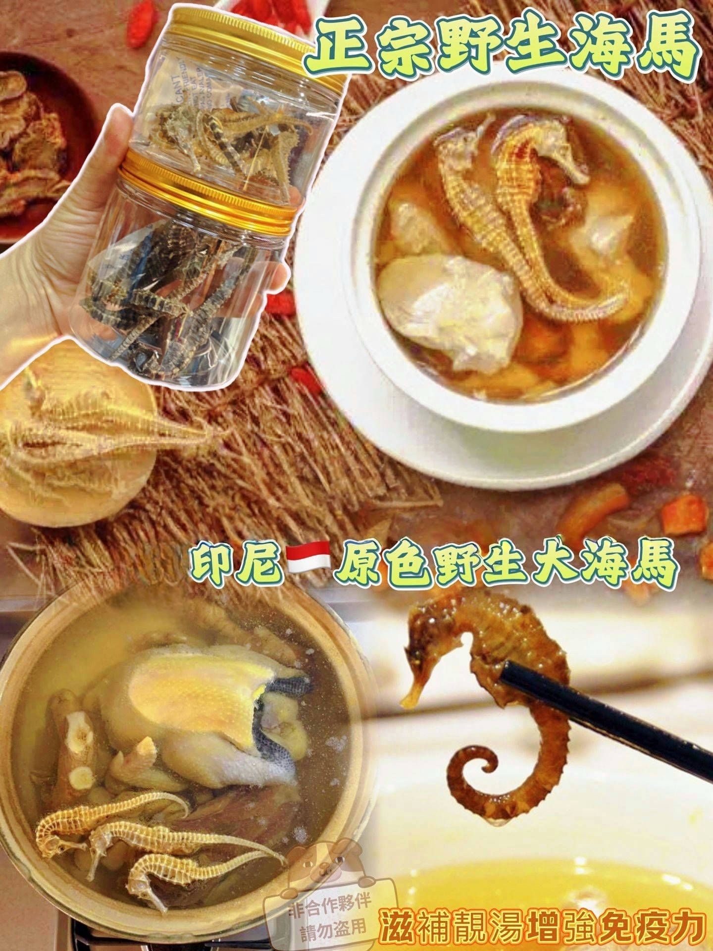 (480)原色野生大海馬八隻裝