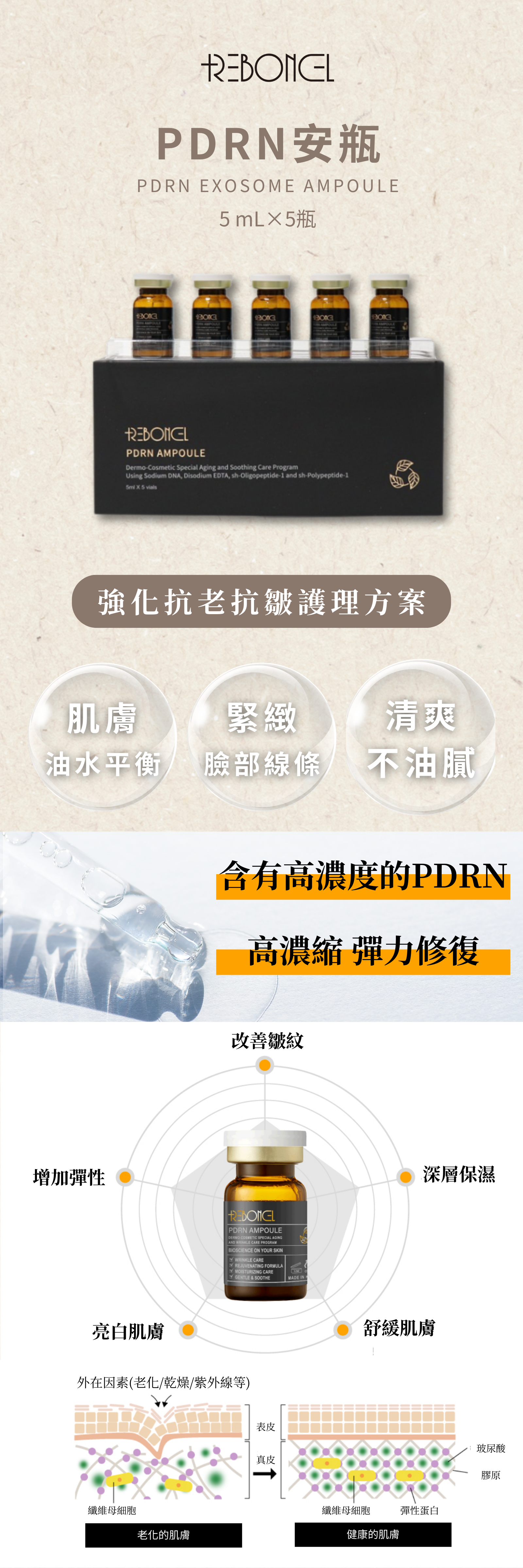 REBONCEL瑞本氏 PDRN高級安瓶(5入)