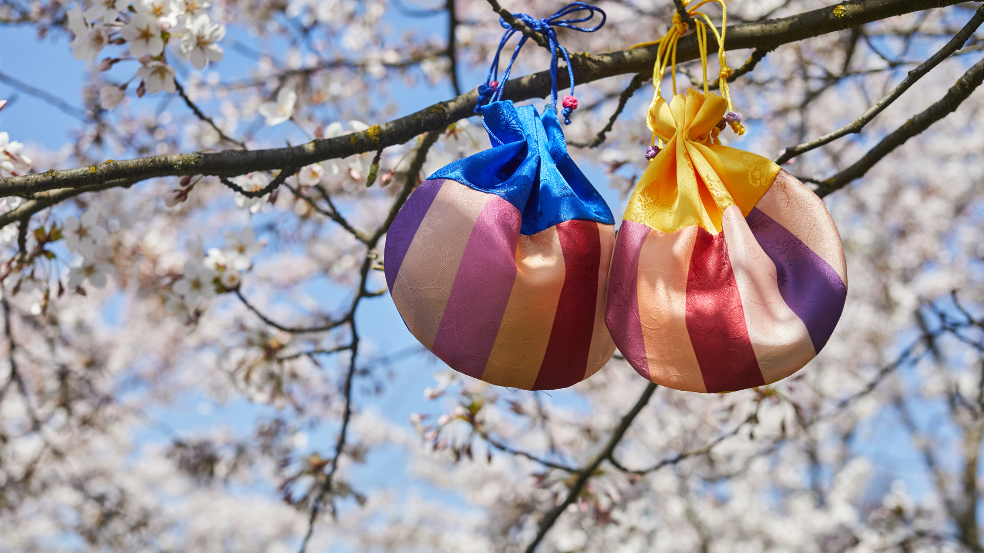 穀雨,二十四節氣,養生,春季旅遊,中藥雞湯,薑汁,