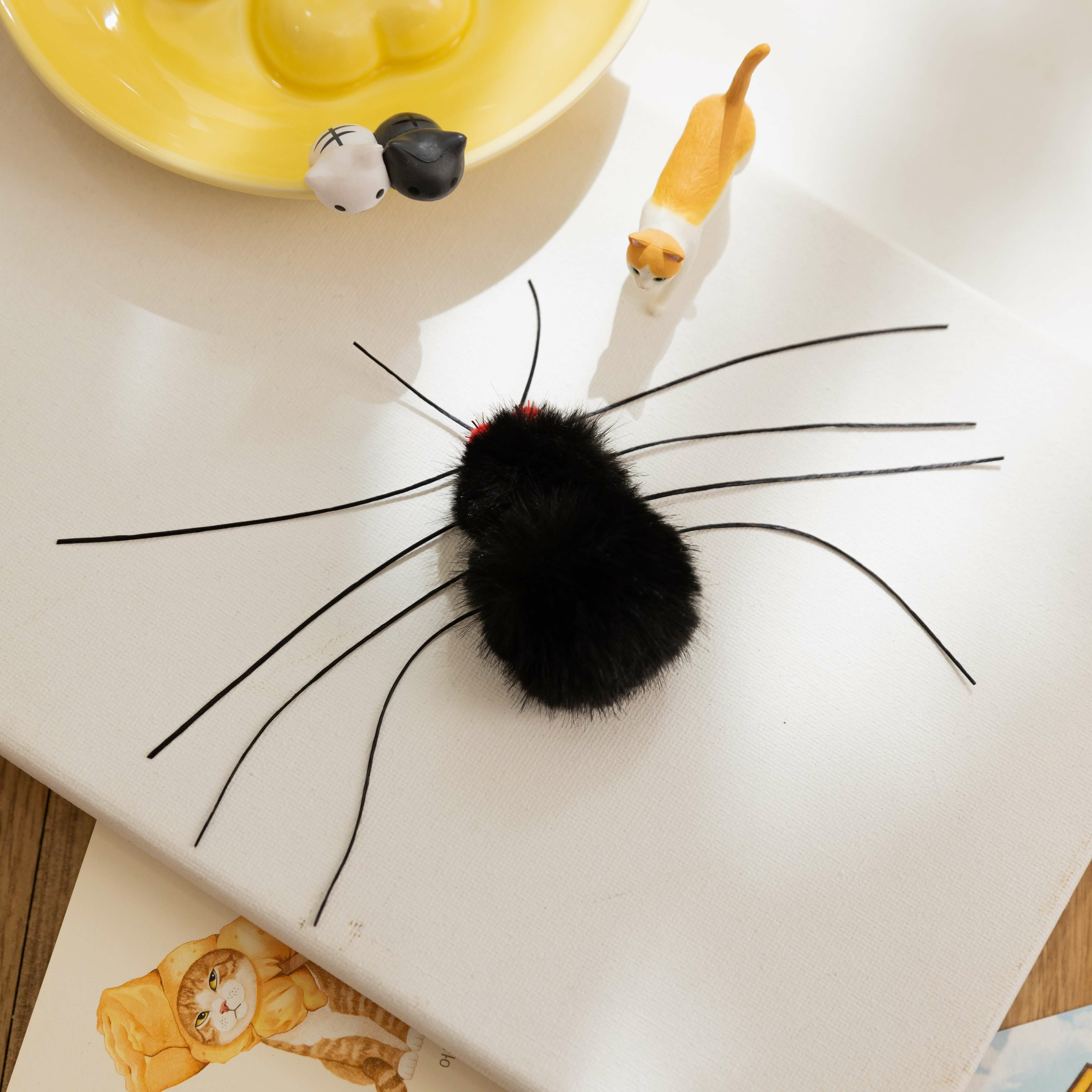 阿嬤養大的蜘蛛