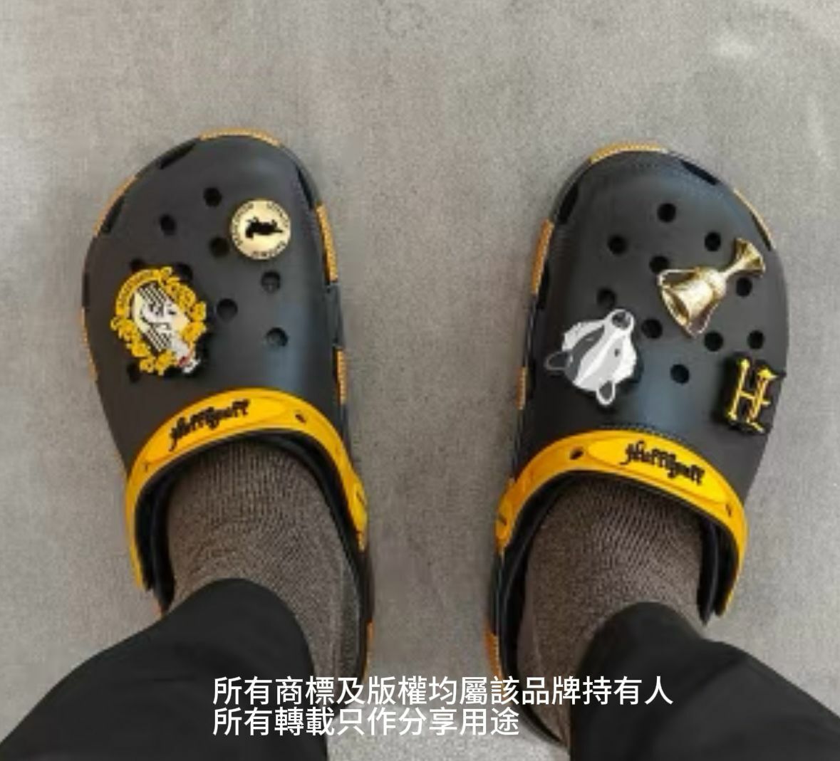 【預購】Crocs Harry Potter Hufflepuff G042305 男女同款洞洞鞋