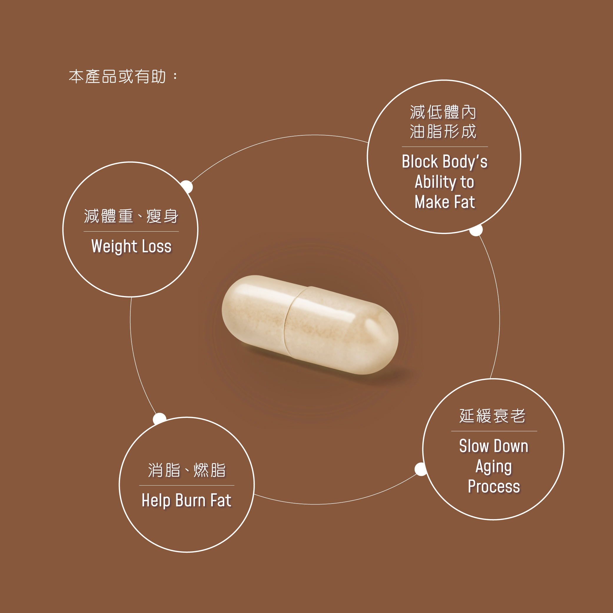 減肥素 左旋肉鹼藤黄果