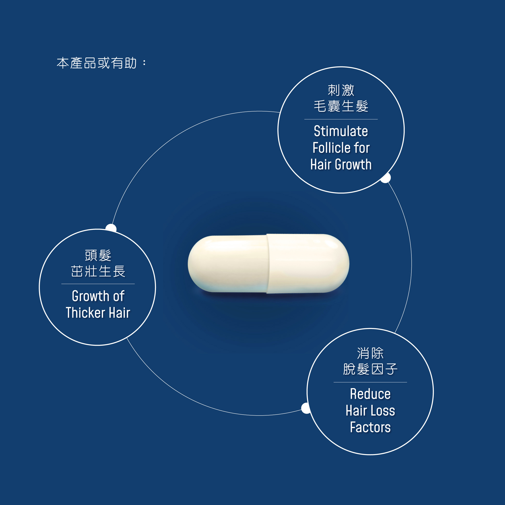 生髮精華 鋸葉棕櫚
