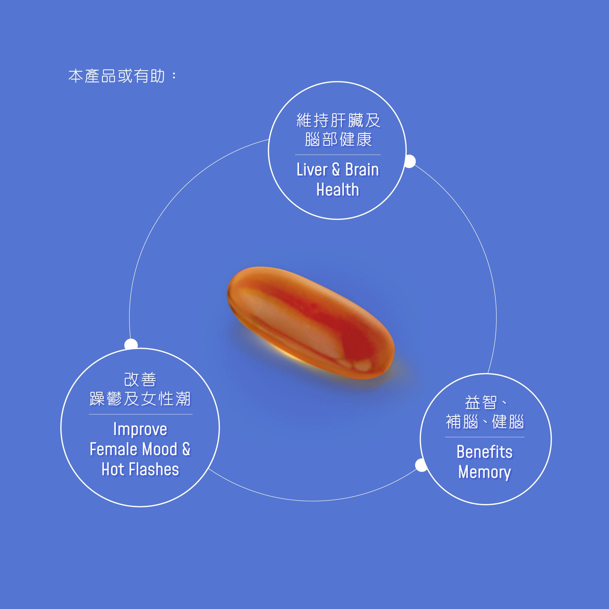 卵磷脂