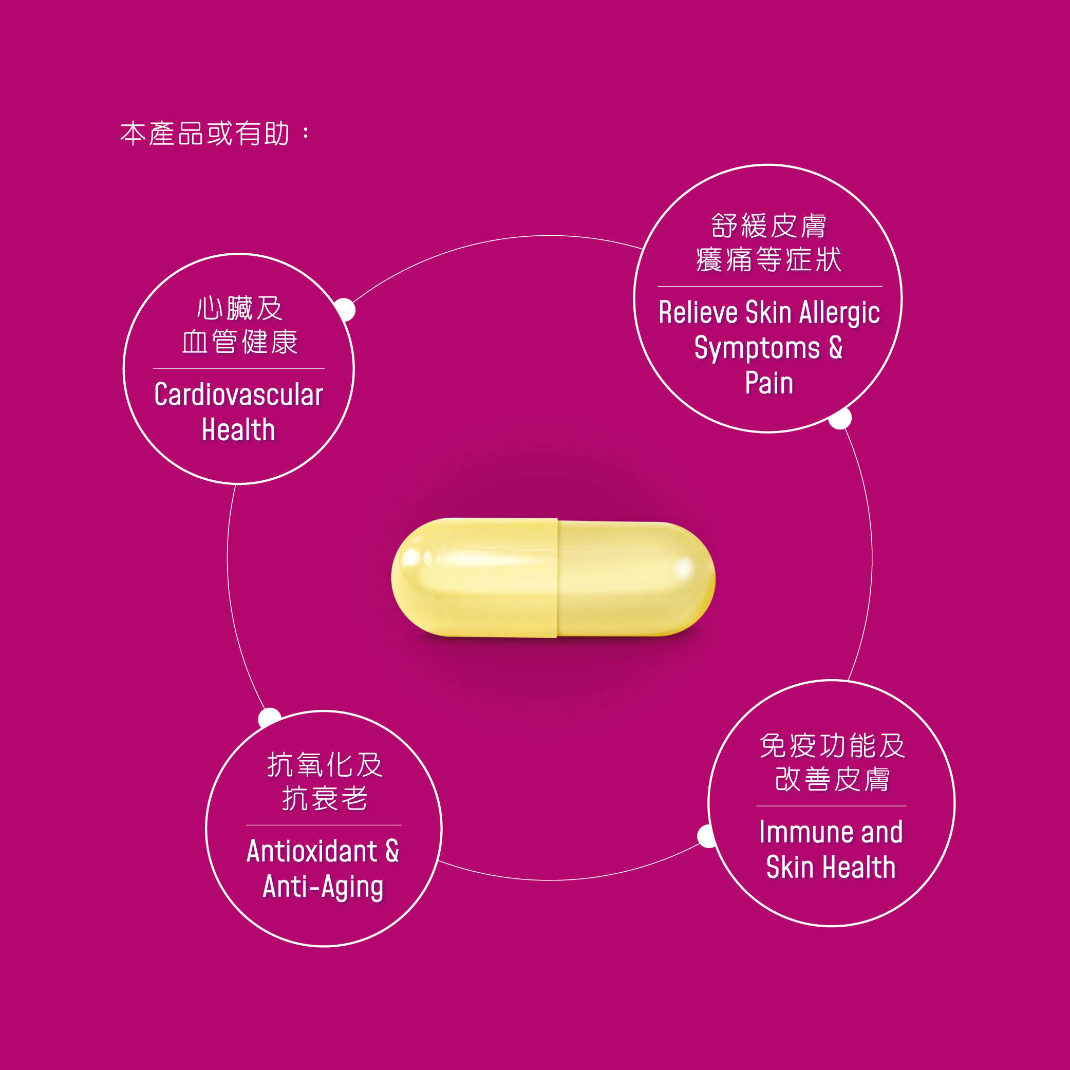 抗衰老 洋蔥素/槲皮素