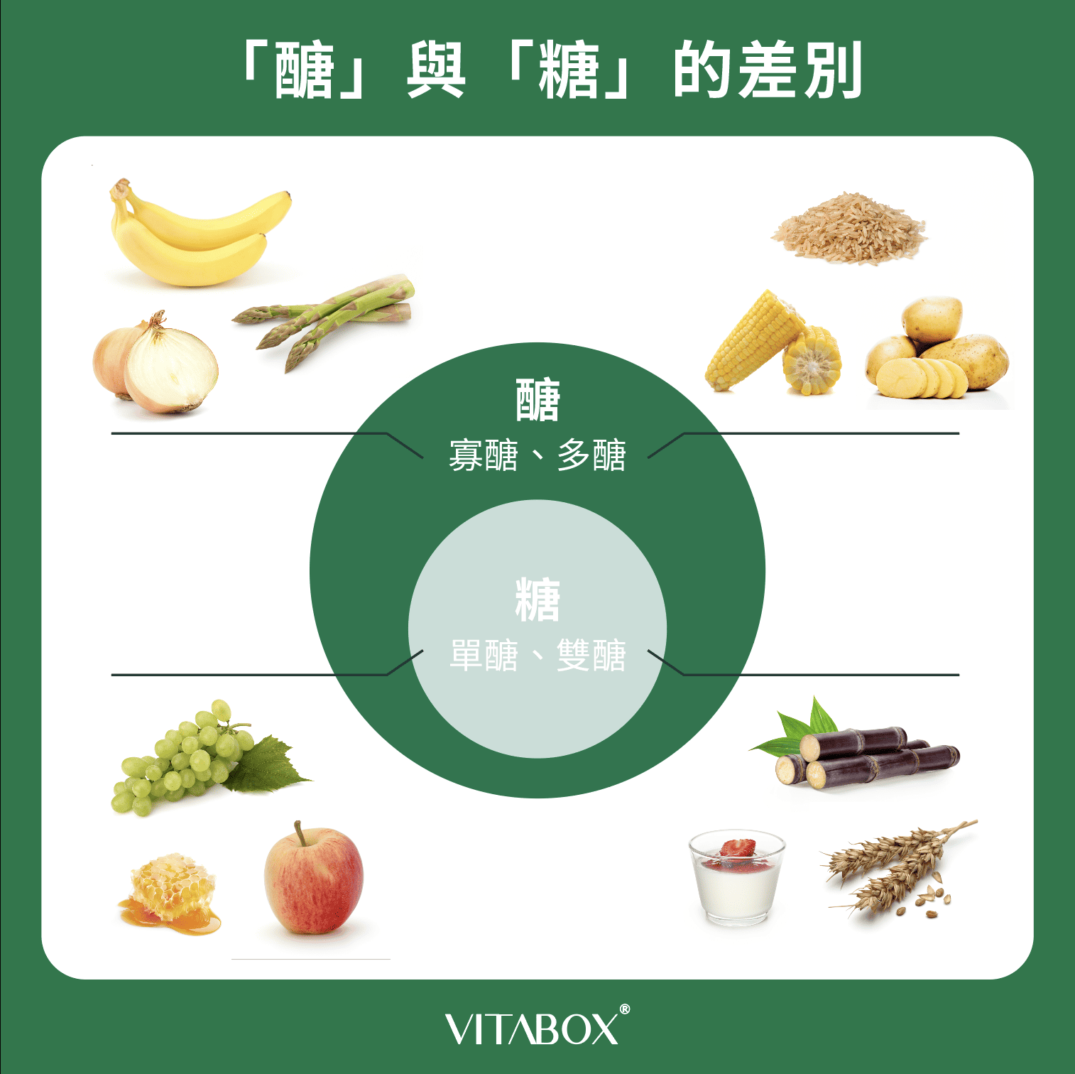 減醣跟減糖的差異