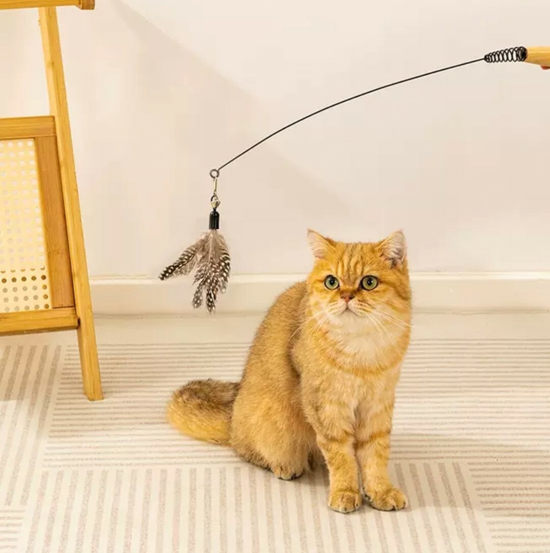 可替換式木柄逗貓棒套組