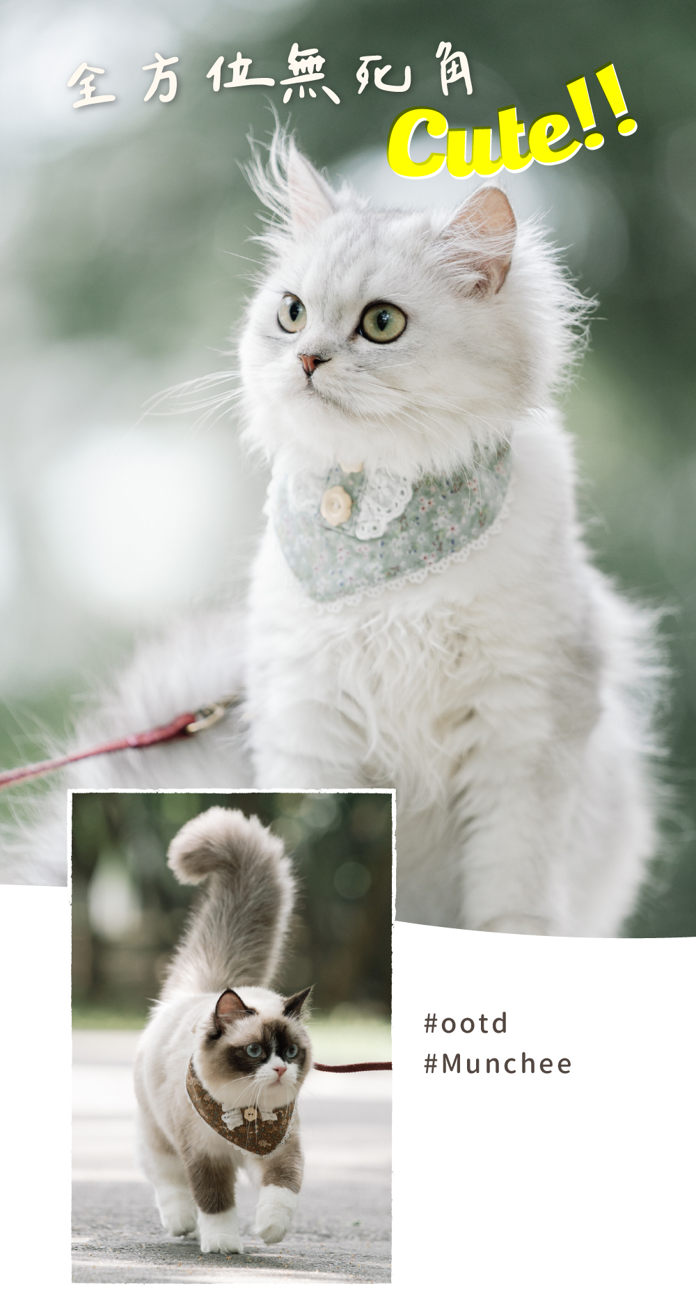 貪貪手作領巾尺寸