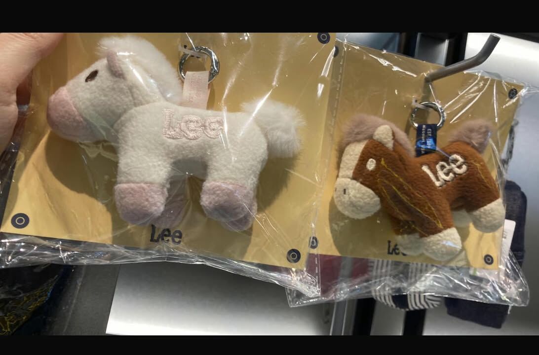 LEE 鎖匙扣