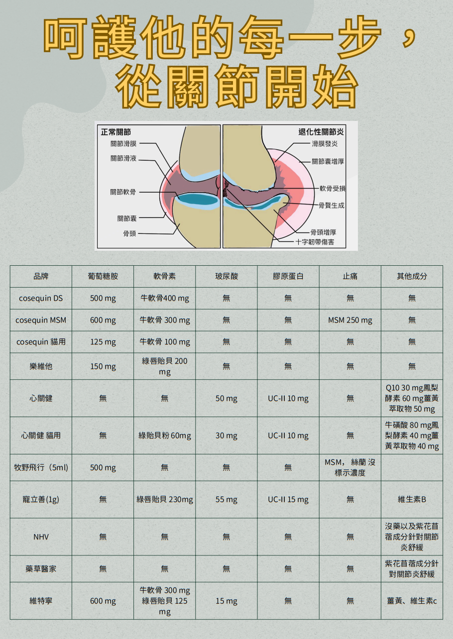 《寵立善 Nutressense》犬貓UC-II全方位關節保養粉30g
