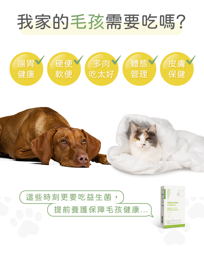 哪些毛孩適合皮膚益生菌,軟硬便,異位性皮膚炎
