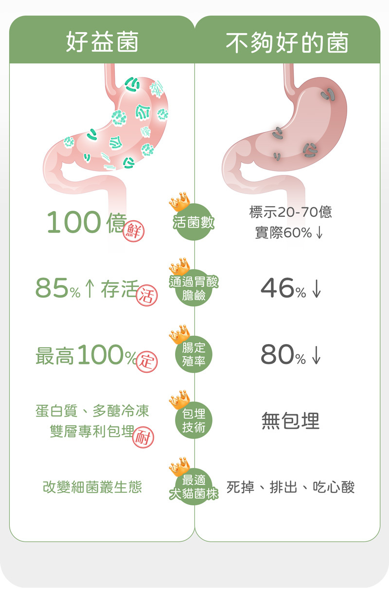 專利包埋技術+活菌+高菌數