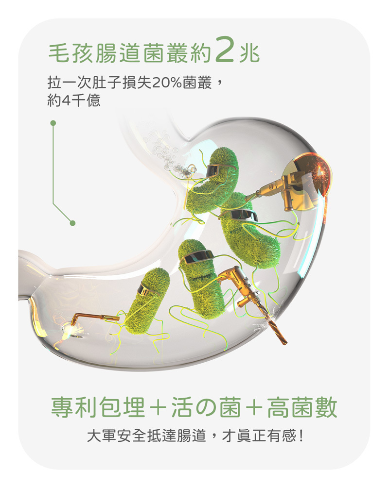 專利包埋技術+活菌+高菌數