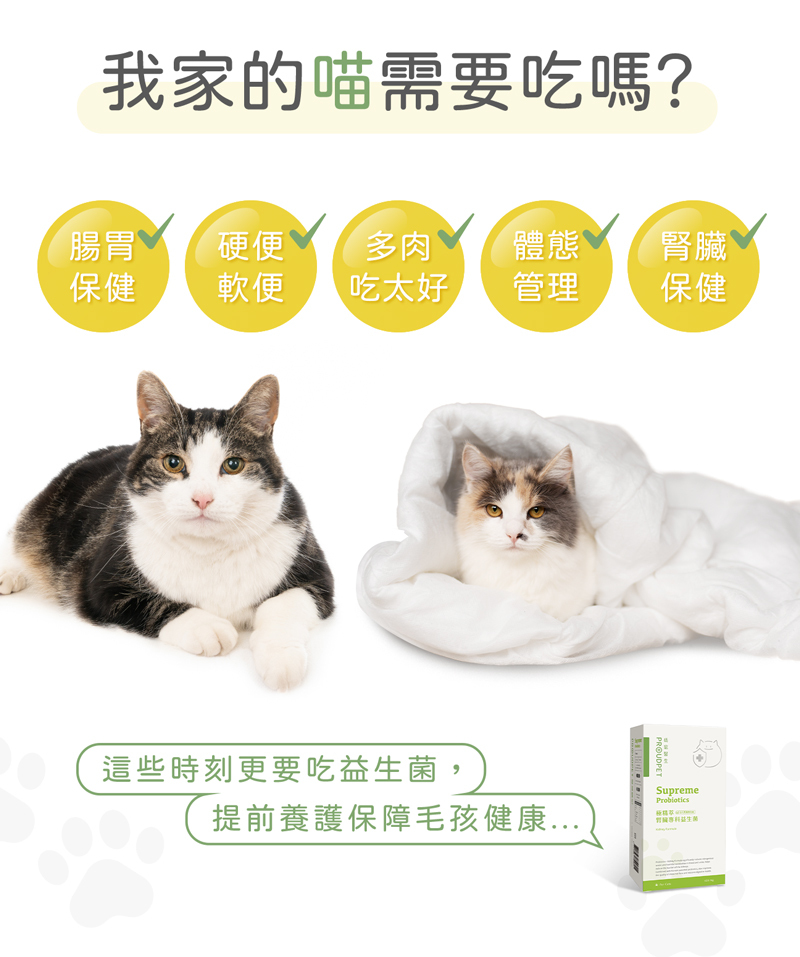 哪些毛孩適合腎臟益生菌,軟硬便,腎臟保健