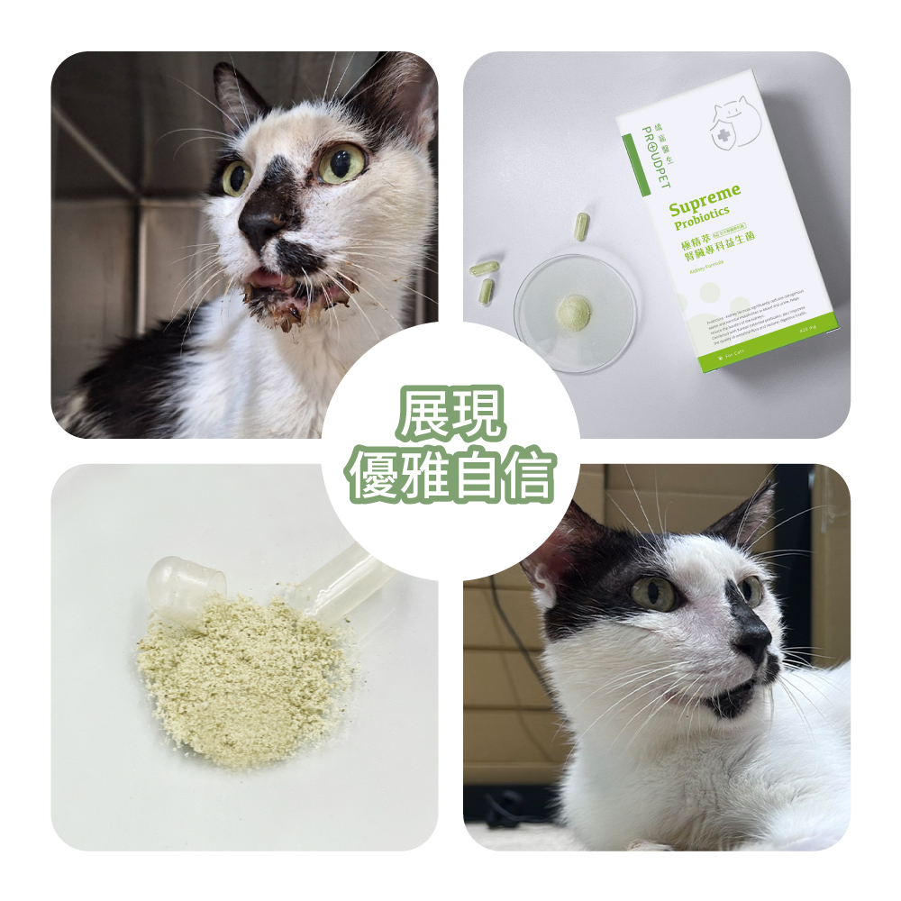 毛孩實證好評,