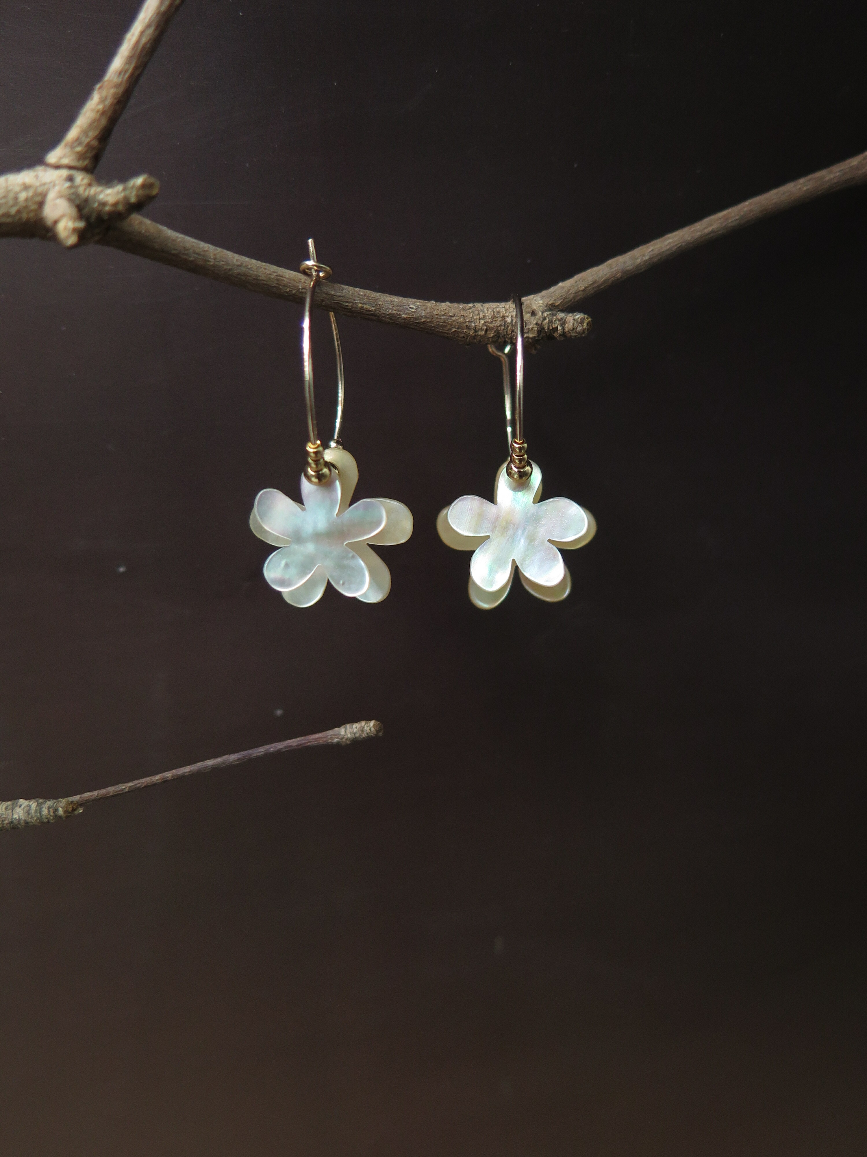 COLE COOL簡約花花貝殼耳圓圈耳環耳夾