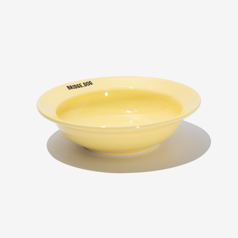BRIDGE. DOG MINI  亮面飛碟碗 (黃)